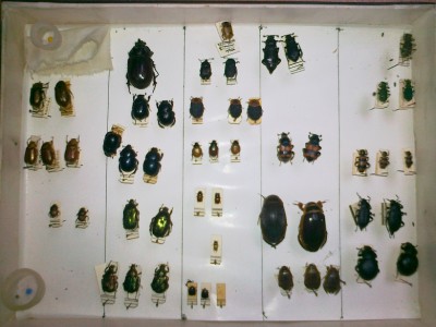 28012012173.jpg