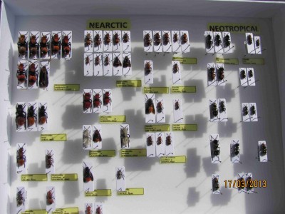 Kodulky 002 (1).jpg