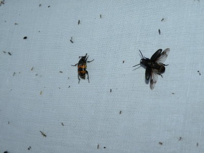 17.6.-2.jpg