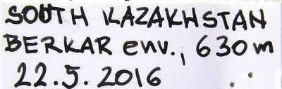 P2140521 Berkar env.jpg
