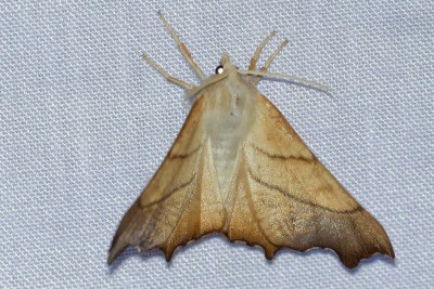 DSC01812_DxOz.jpg