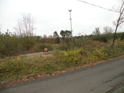 Neratovice-16.11.2024.1.JPG